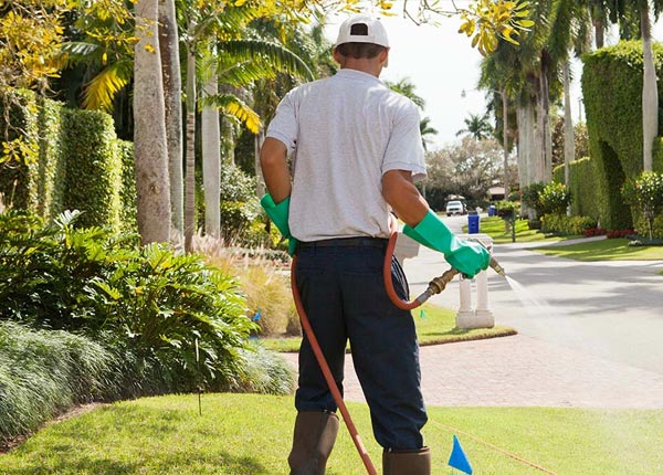 About Taunton MN Pest Control